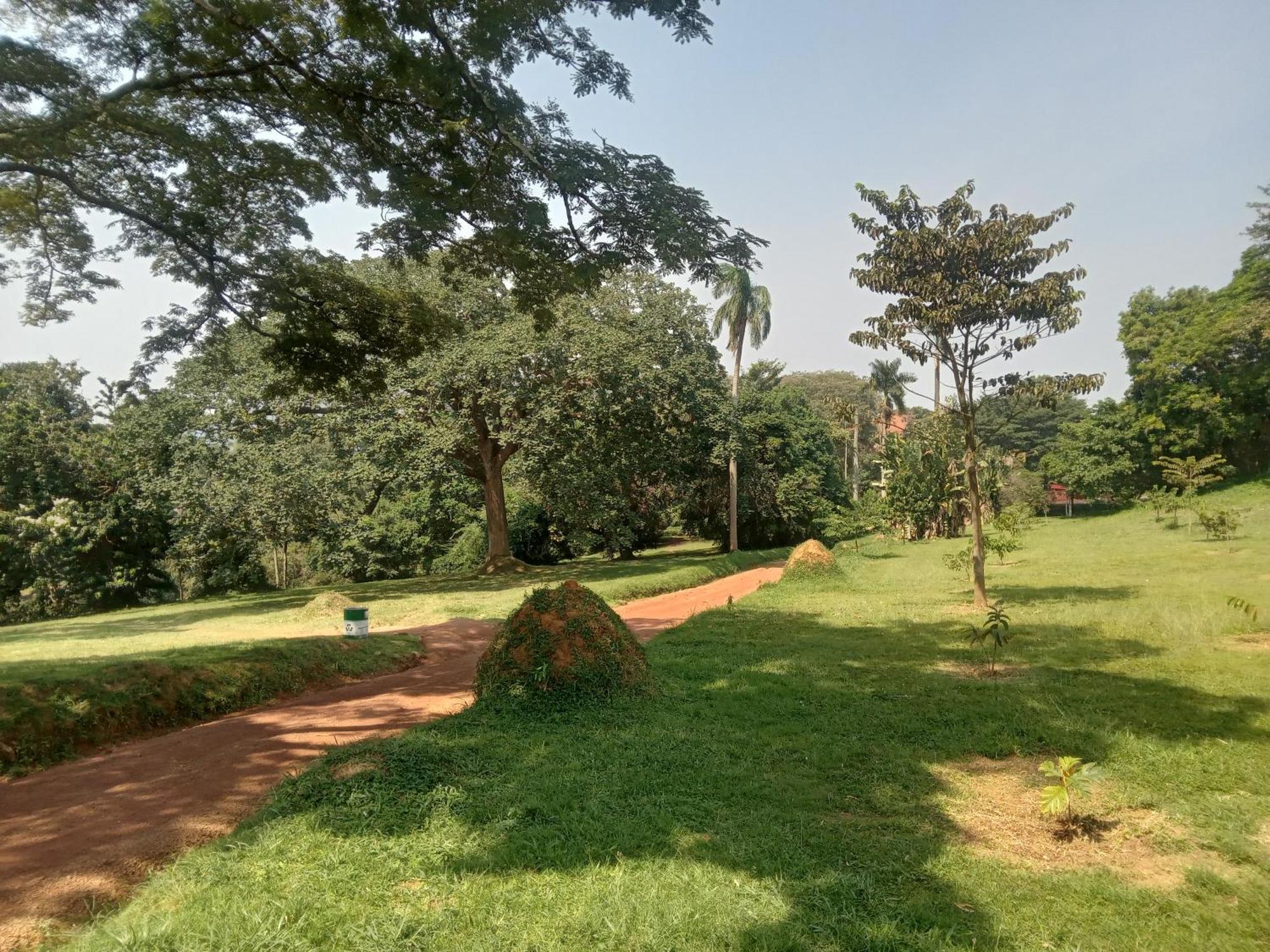 Mowicribs Hotel And Spa Entebbe Cameră foto